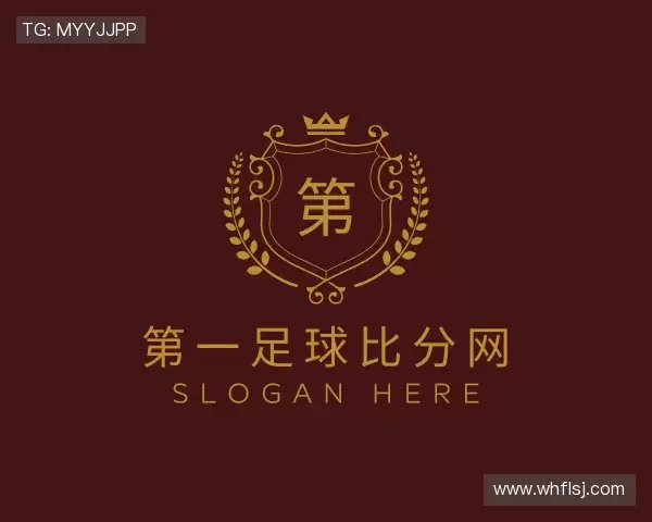 介绍第一足球比分网